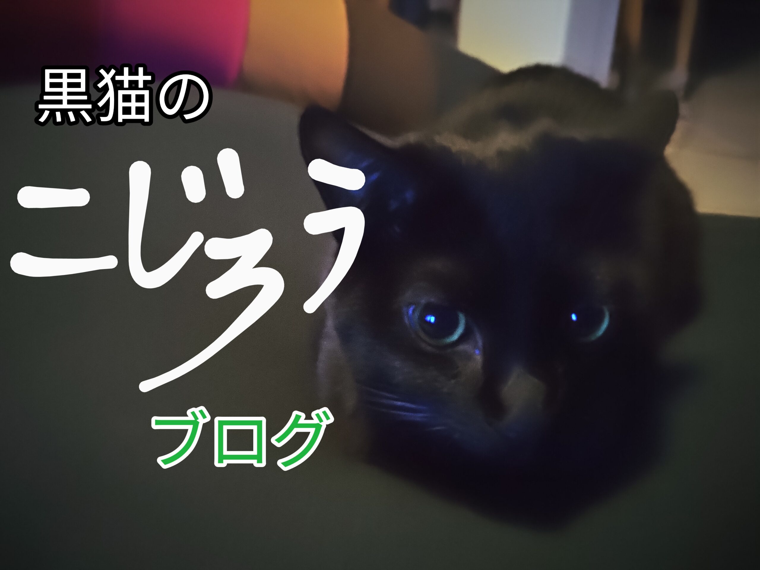 黒猫のこじろうブログ